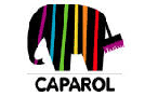 dataroom entwickelt neue Universal-App für Caparol